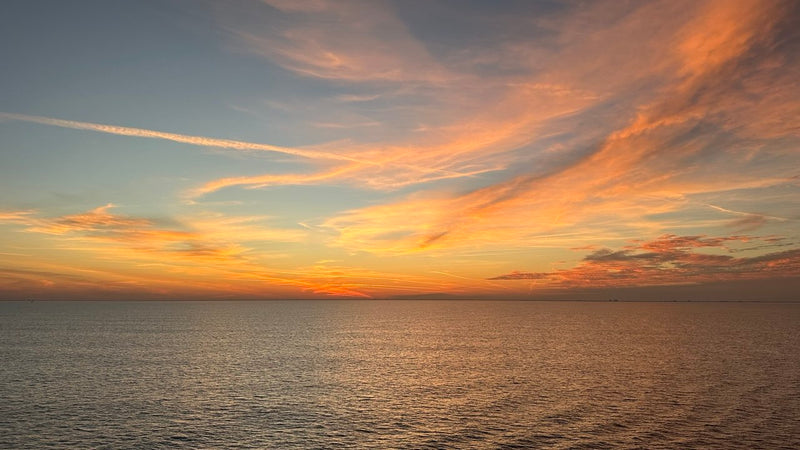 @GONEFLORIDIAN